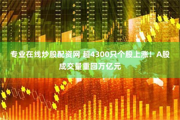 专业在线炒股配资网 超4300只个股上涨！A股成交量重回万亿元