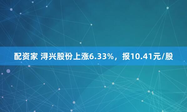 配资家 浔兴股份上涨6.33%，报10.41元/股
