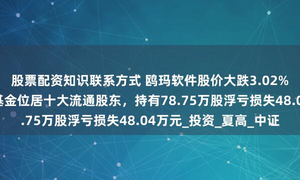 股票配资知识联系方式 鸥玛软件股价大跌3.02%，大成基金旗下1只基金位居十大流通股东，持有78.75万股浮亏损失48.04万元_投资_夏高_中证