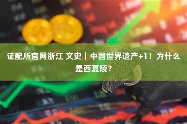 证配所官网浙江 文史丨中国世界遗产+1！为什么是西夏陵？