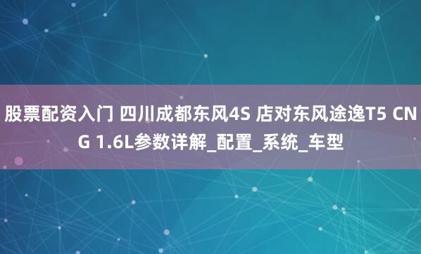 股票配资入门 四川成都东风4S 店对东风途逸T5 CNG 1.6L参数详解_配置_系统_车型