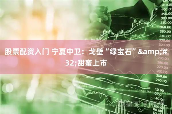 股票配资入门 宁夏中卫：戈壁“绿宝石”&#32;甜蜜上市